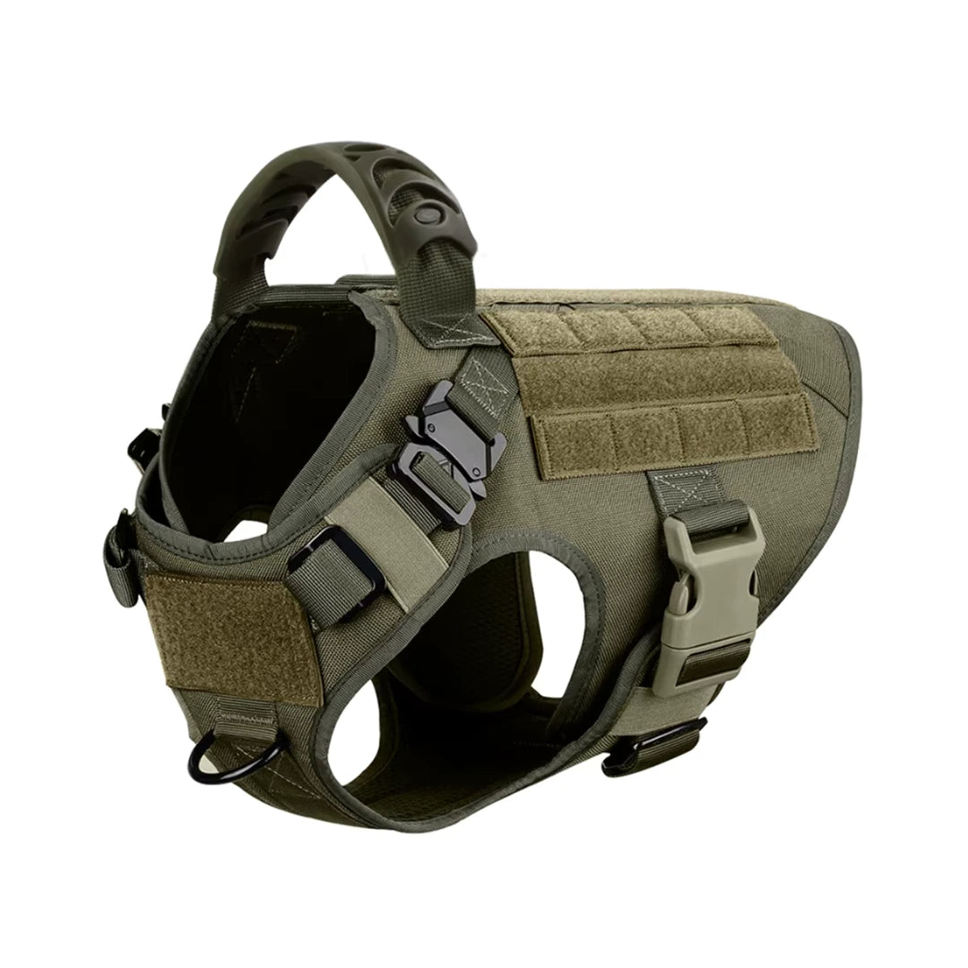 Harnais tactique Blast avec système Molle pour chien