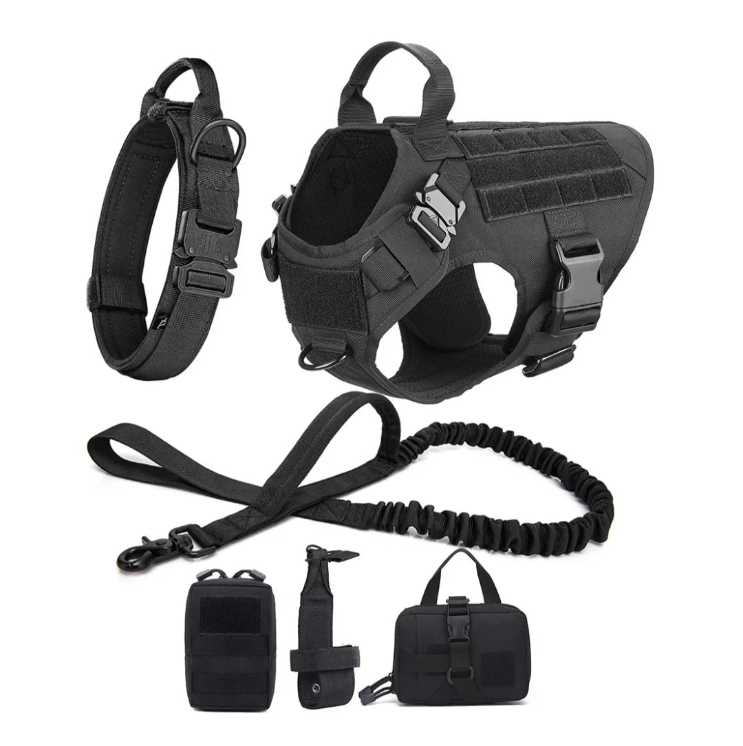 Harnais tactique Blast avec système Molle pour chien