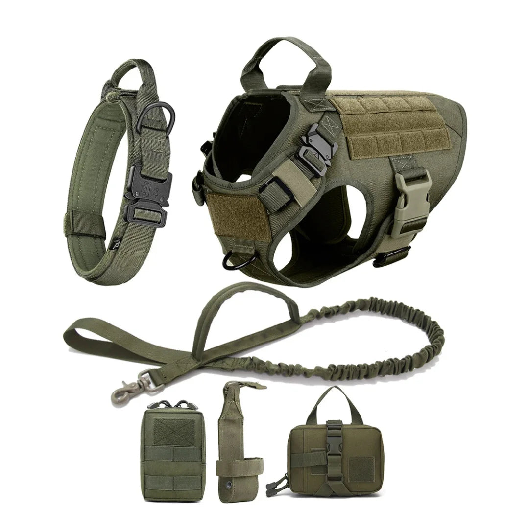 Harnais tactique Blast avec système Molle pour chien