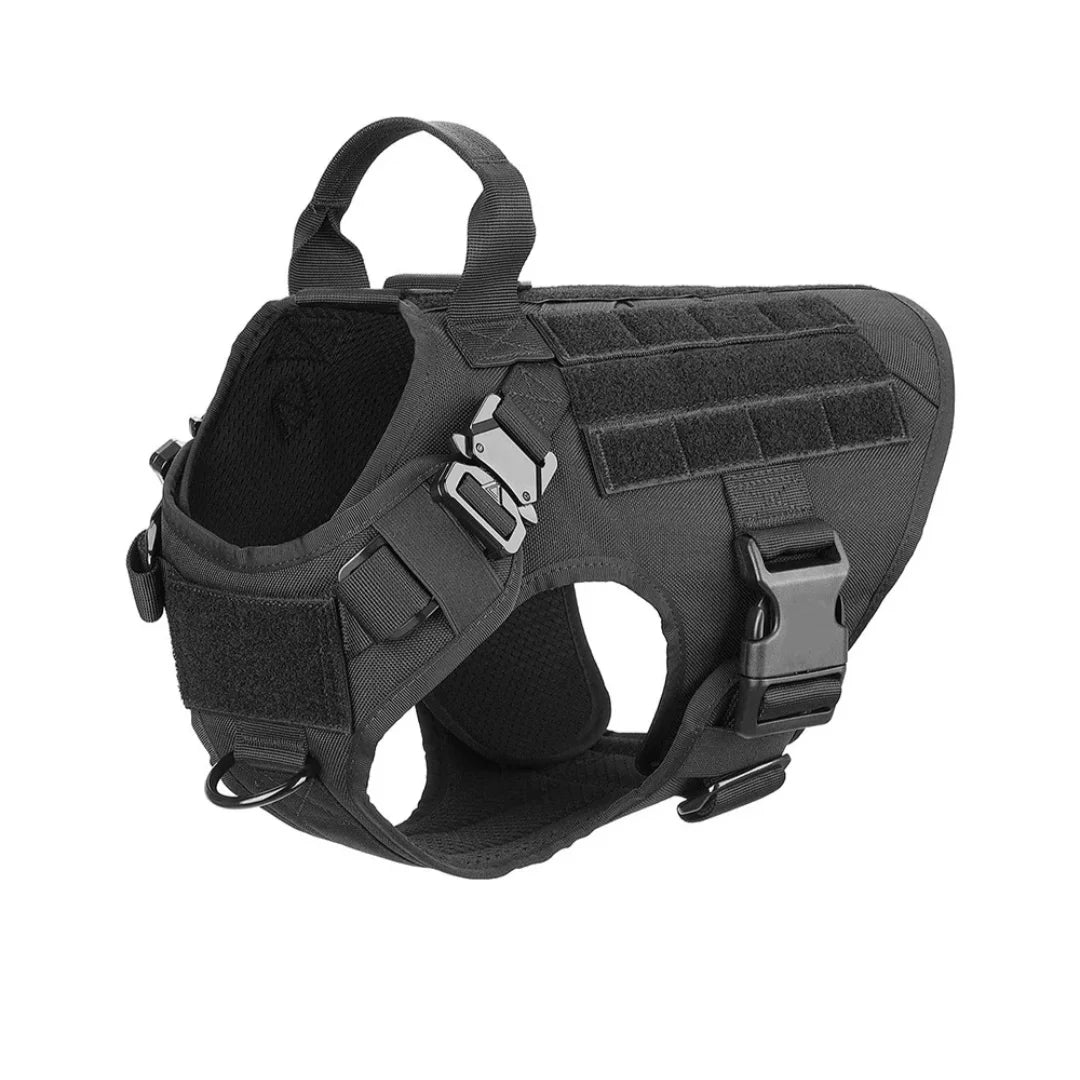 Harnais tactique Blast avec système Molle pour chien
