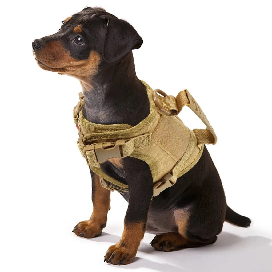 Harnais Pavox avec poignée pour petit chien et chiot