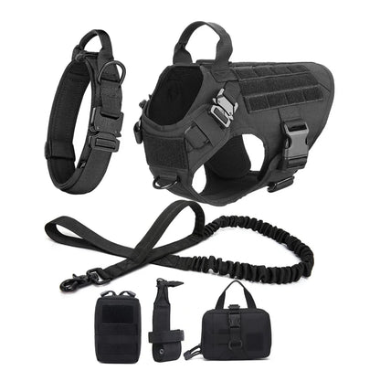 Harnais tactique Blast avec système Molle pour chien