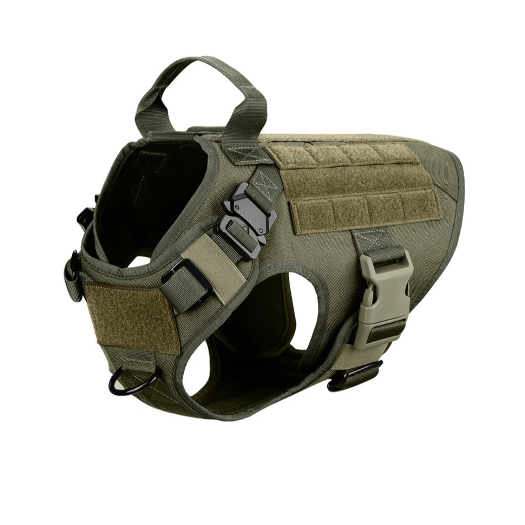 Harnais tactique Blast avec système Molle pour chien