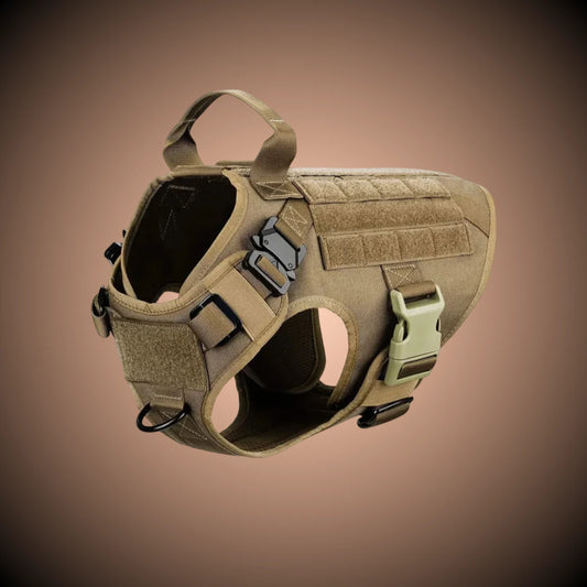 Harnais tactique Blast avec système Molle pour chien