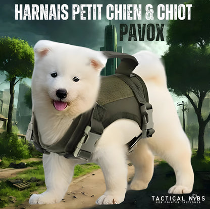 Harnais Pavox avec poignée pour petit chien et chiot