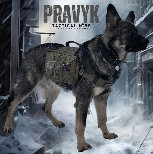 Harnais tactique Pravyk avec système Molle pour chien